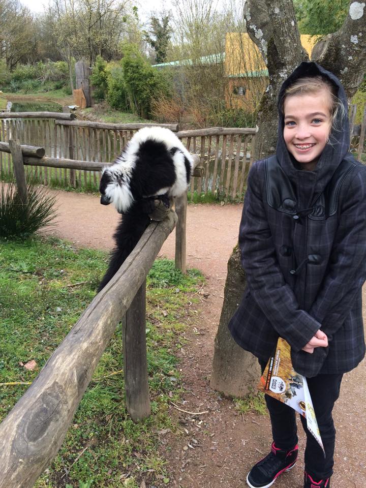 Anais et les animaux sauvages