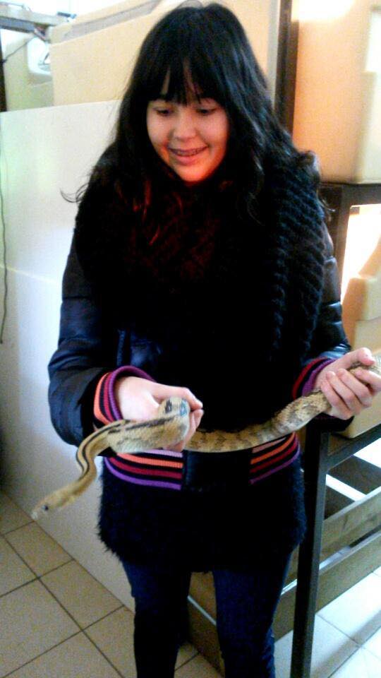 Léa et les Animaux sauvages