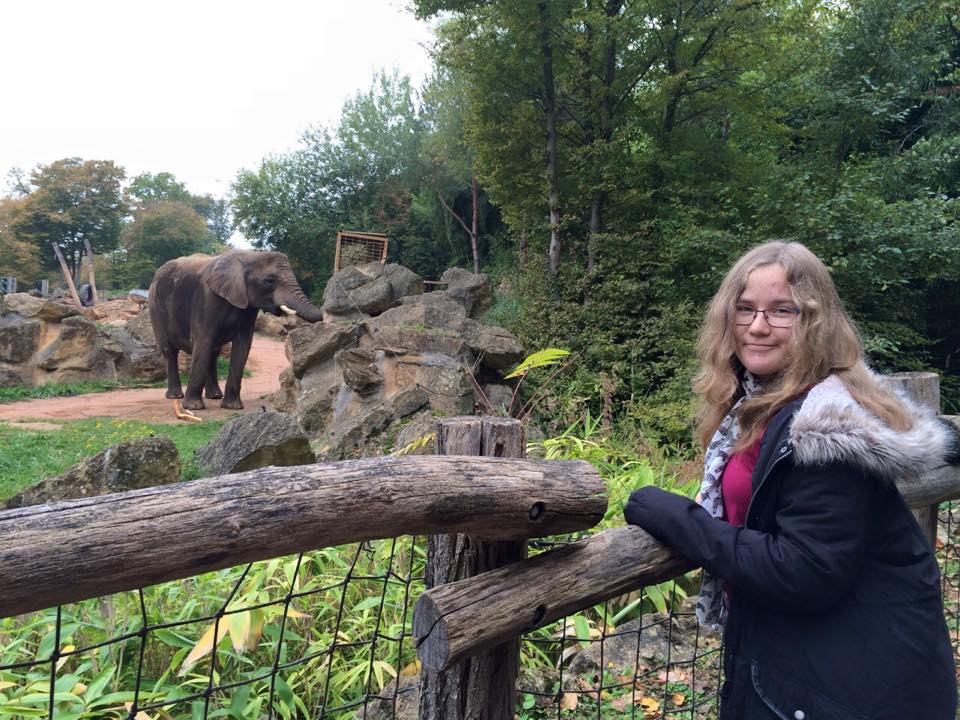 Joana et les éléphants