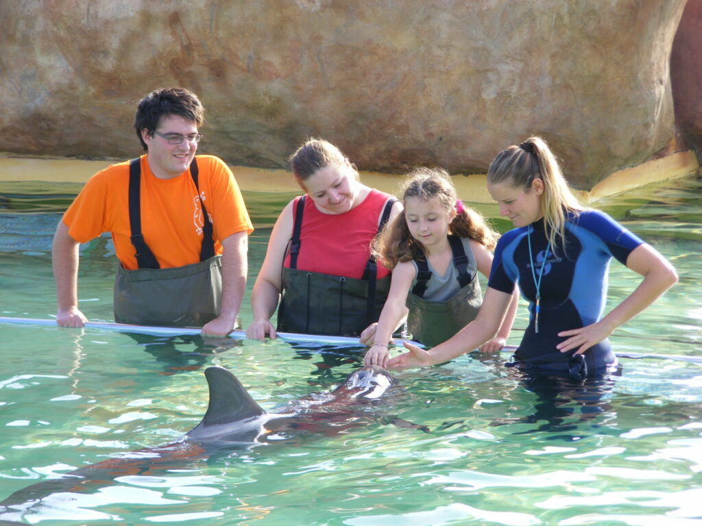 Morgane et les dauphins