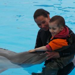 Nathan et les Dauphins