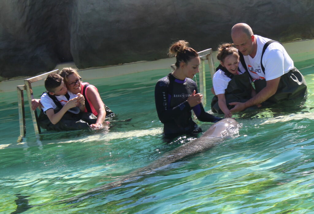 Lorna & Mathéo et les dauphins