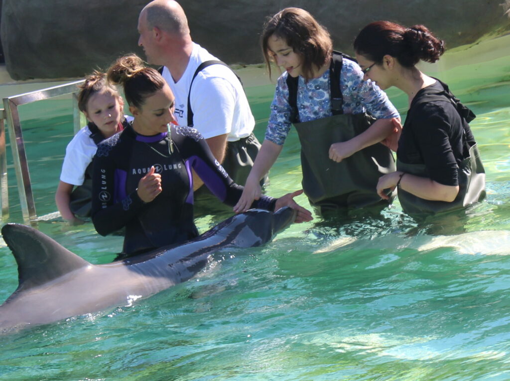 Naomie et les dauphins
