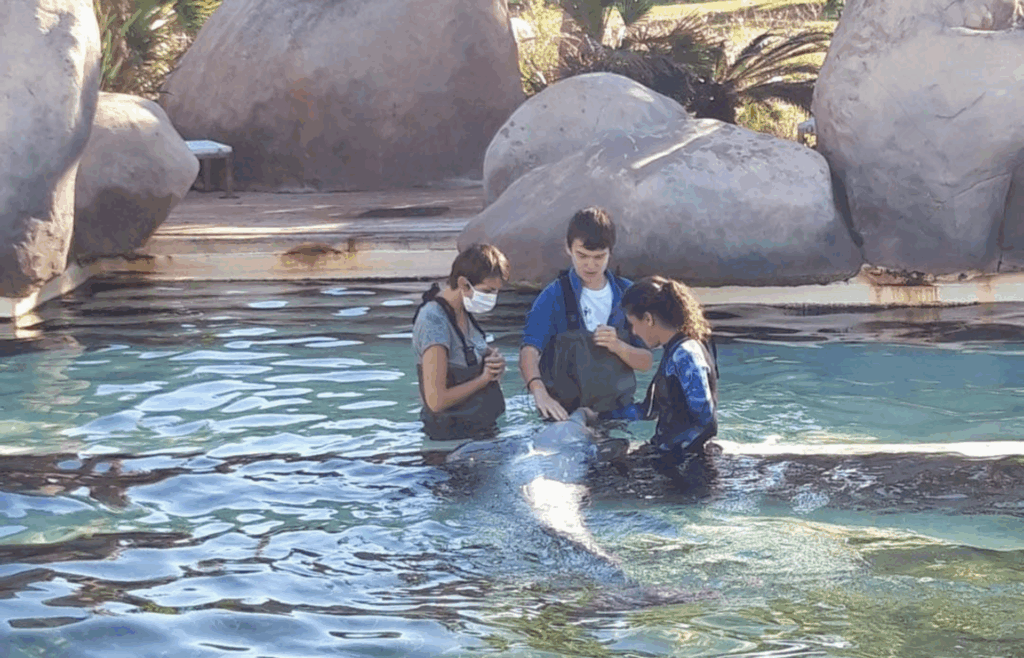 Lucas à Marineland