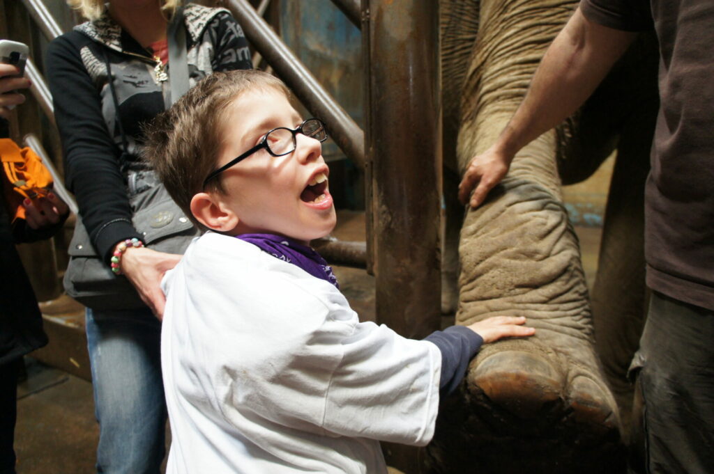 Jérémy et les éléphants